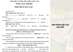Cách đặt cọc tiền mua nhà an toàn theo luật hiện nay như thế nào? 16 Hợp đồng đặt cọc mua đất