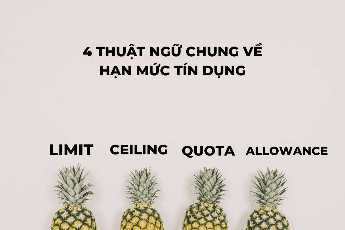 4 thuật ngữ chung về hạn mức tín dụng